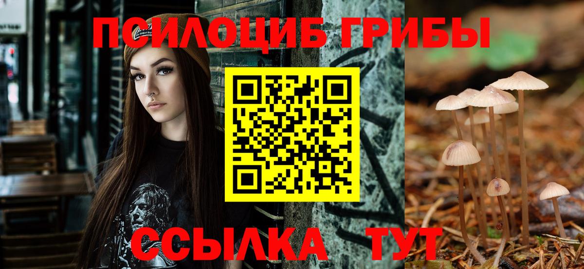 Псилоцибиновые грибы Magic Shrooms  Псилоцибиновые грибы прущие грибы  купить   Сертолово  Вход с VPN 