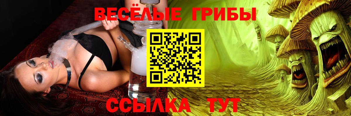 Галлюциногенные грибы Magic Shrooms Сертолово